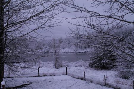 I'm Dreaming Of A White Image